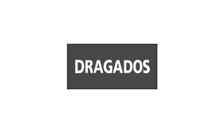 LOGOS PRIVADOS PDF dragados